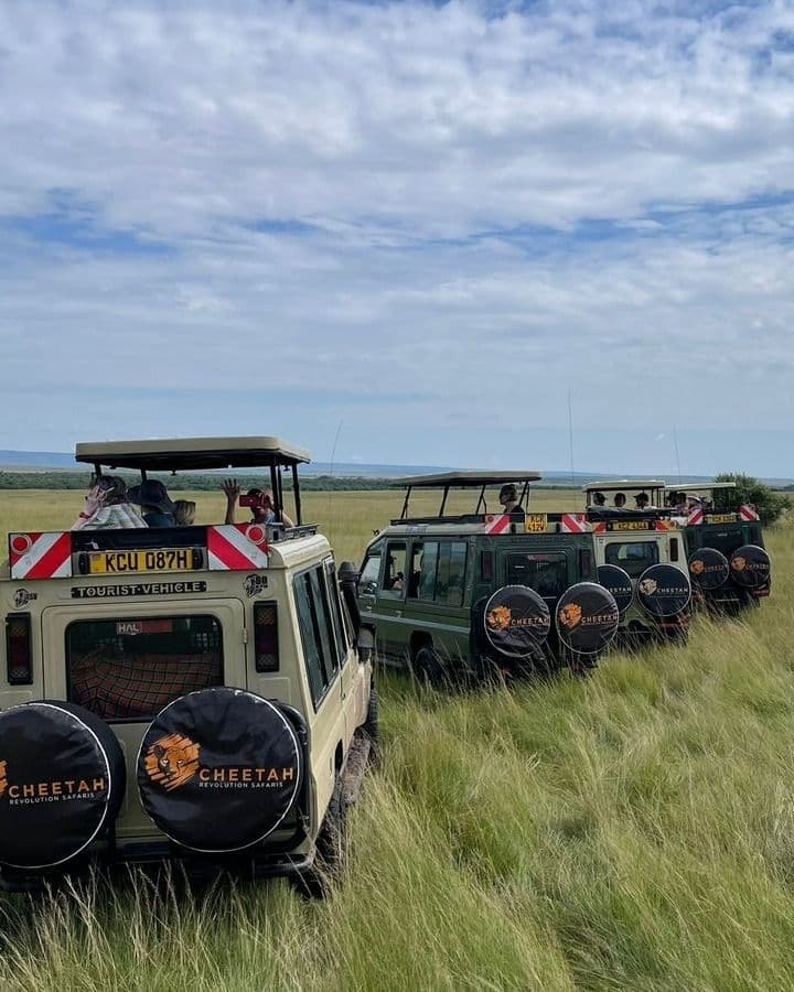 Amboseli Safari