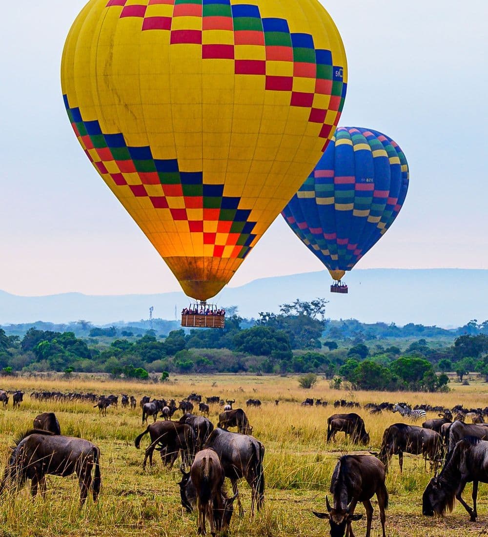 Maasai Mara Offers